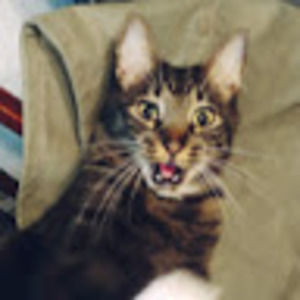 Meet your Posher, Kristin